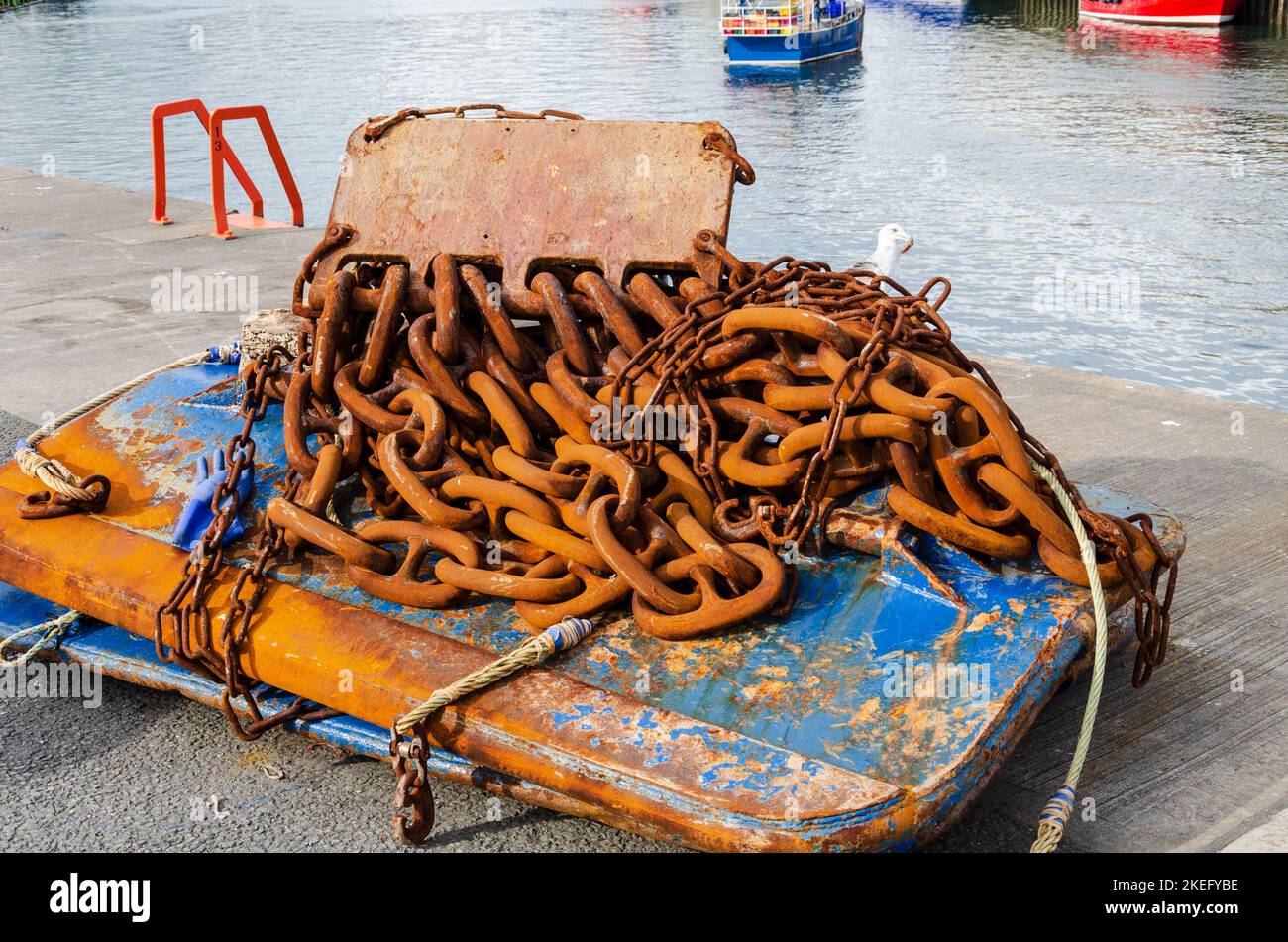 Trawler Netzketten und Türen liegen am Kai im Hafen von Kilkeel Stockfoto