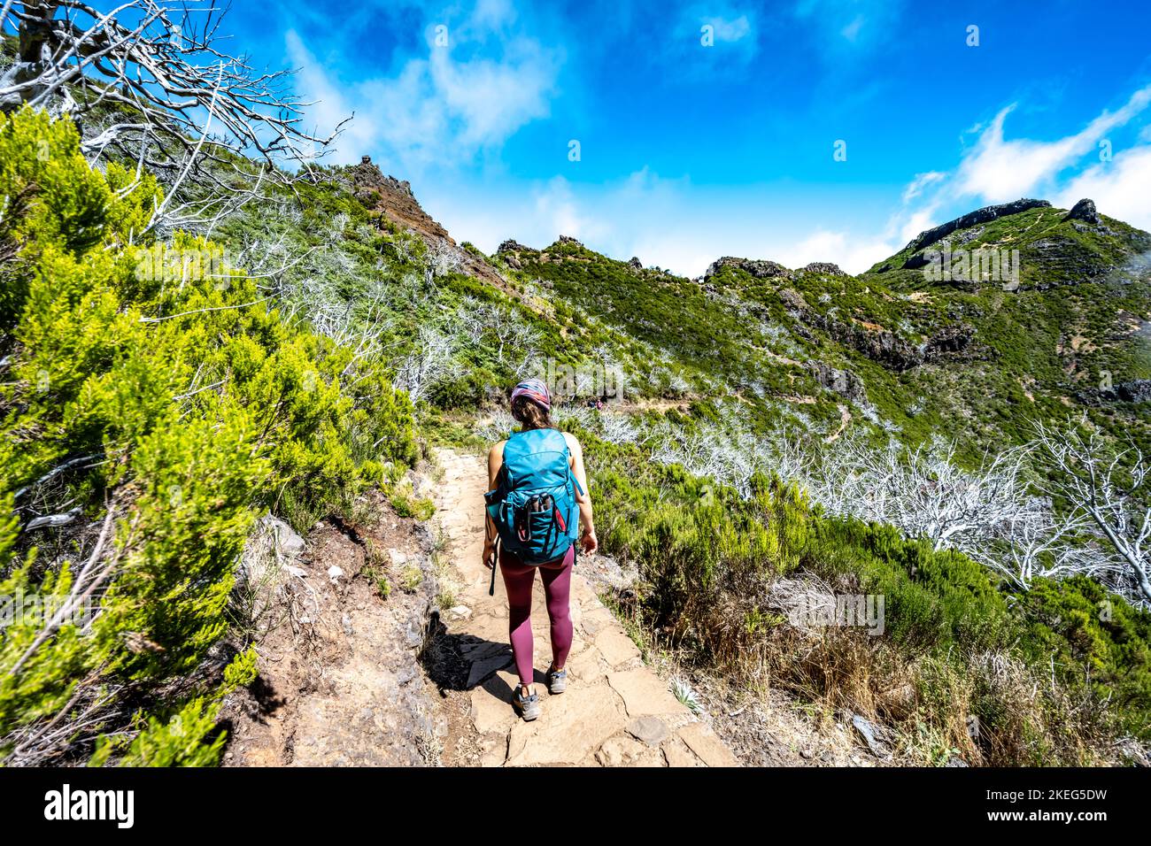 Beschreibung: Wanderer mit Rucksack zu Fuß durch einen malerischen Wald von toten Bäumen am Nachmittag. Verade do Pico Ruivo, Madeira, Portugal, Europ Stockfoto