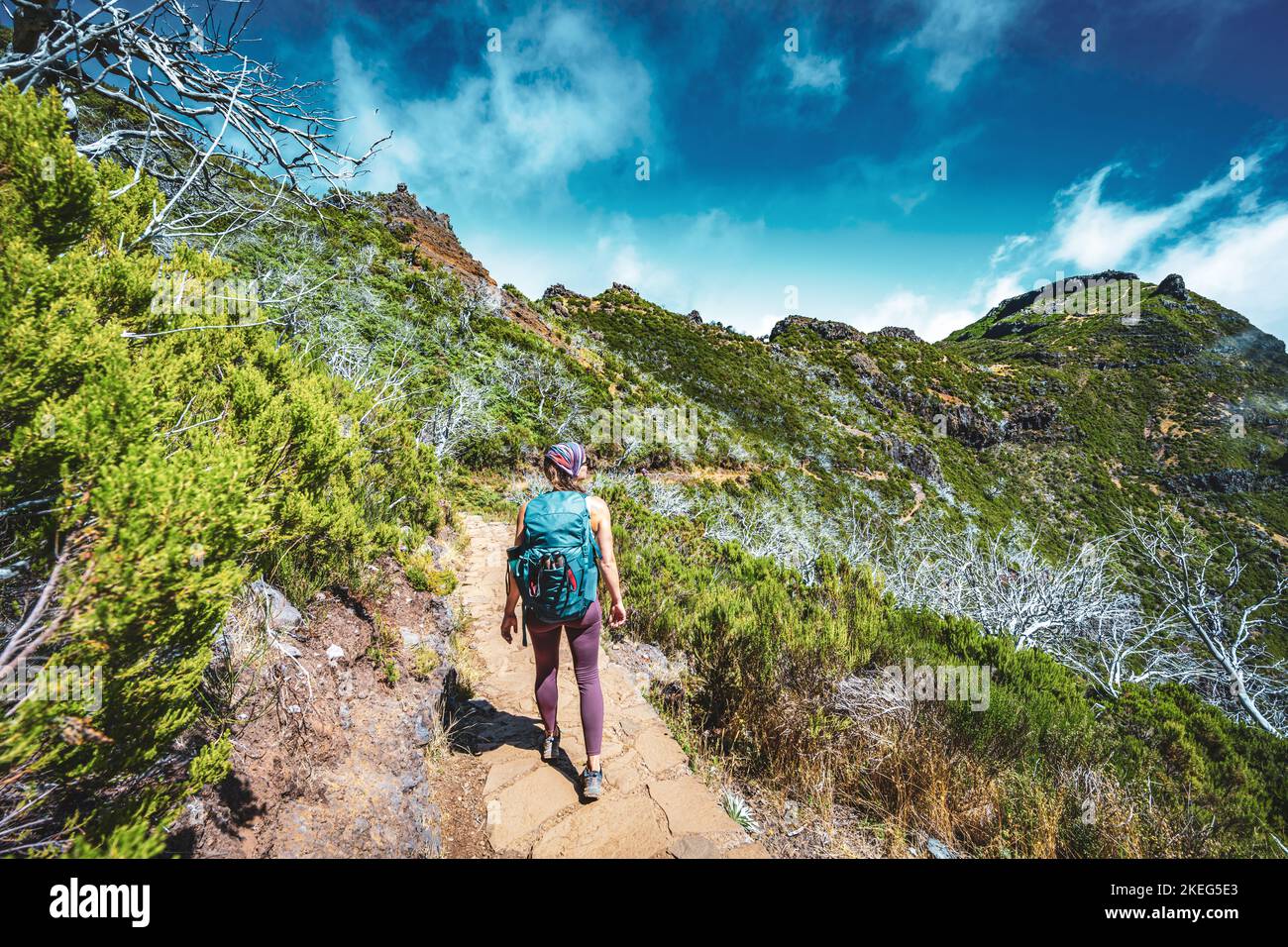 Beschreibung: Wanderer mit Rucksack zu Fuß durch einen malerischen Wald von toten Bäumen am Nachmittag. Verade do Pico Ruivo, Madeira, Portugal, Europ Stockfoto