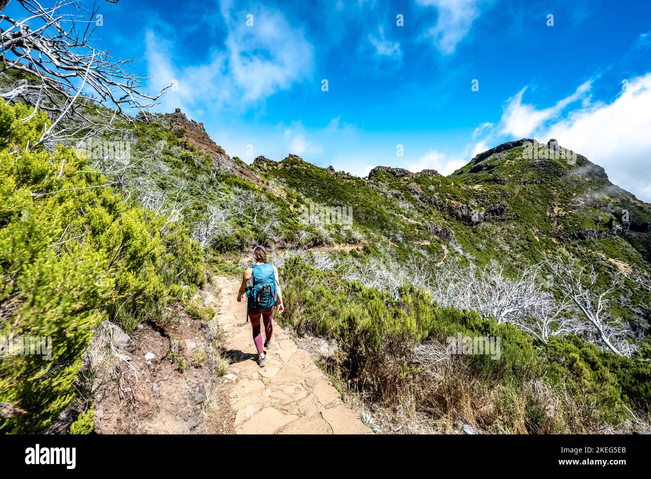 Beschreibung: Wanderer mit Rucksack zu Fuß durch einen malerischen Wald von toten Bäumen am Nachmittag. Verade do Pico Ruivo, Madeira, Portugal, Europ Stockfoto