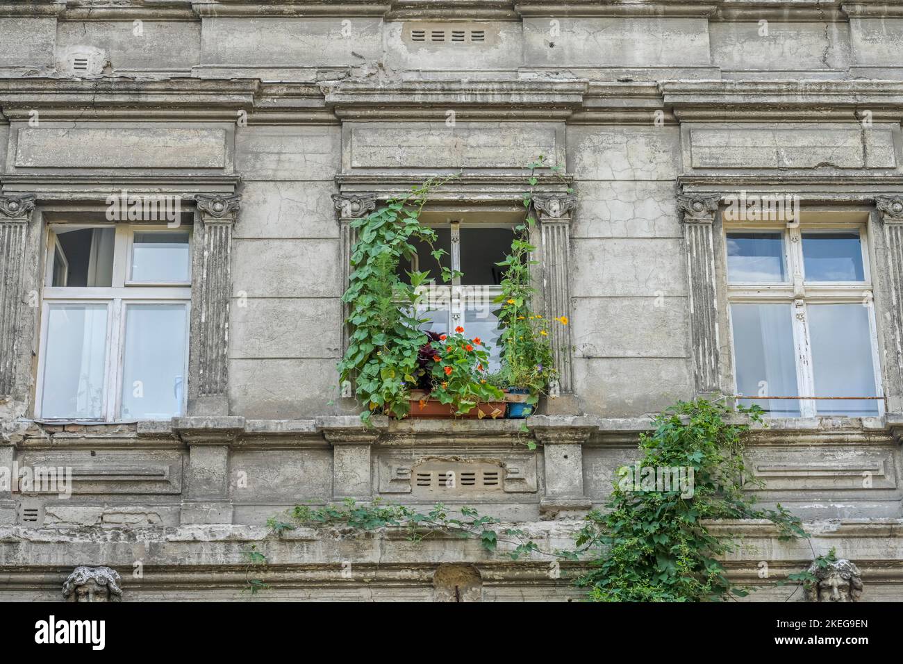 Unrenovierter Altbau, Neue Schönholzer Straße, Pankow, Berlin, Deutschland Stockfoto