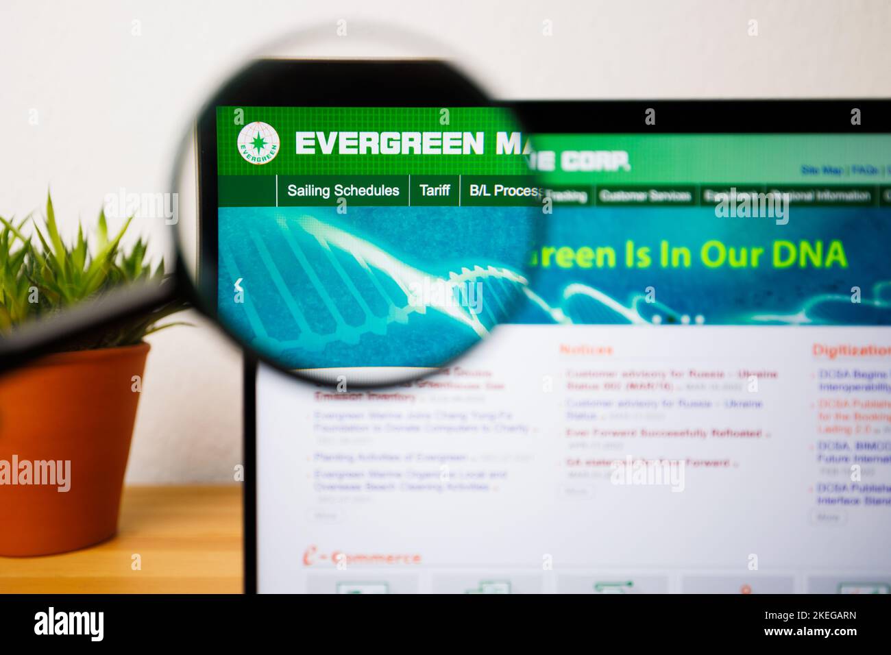 Ein Evergreen-Logo auf einem Laptop-Bildschirm unter einer Lupe Stockfoto