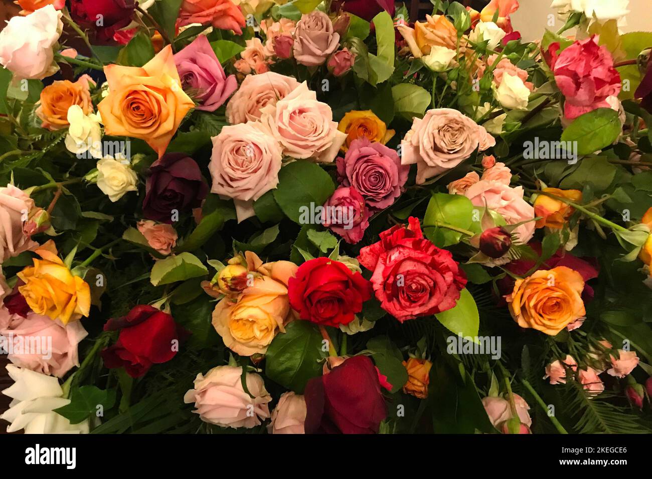 Bunte Rosen auf einem Sarg bei einer Beerdigung Stockfoto