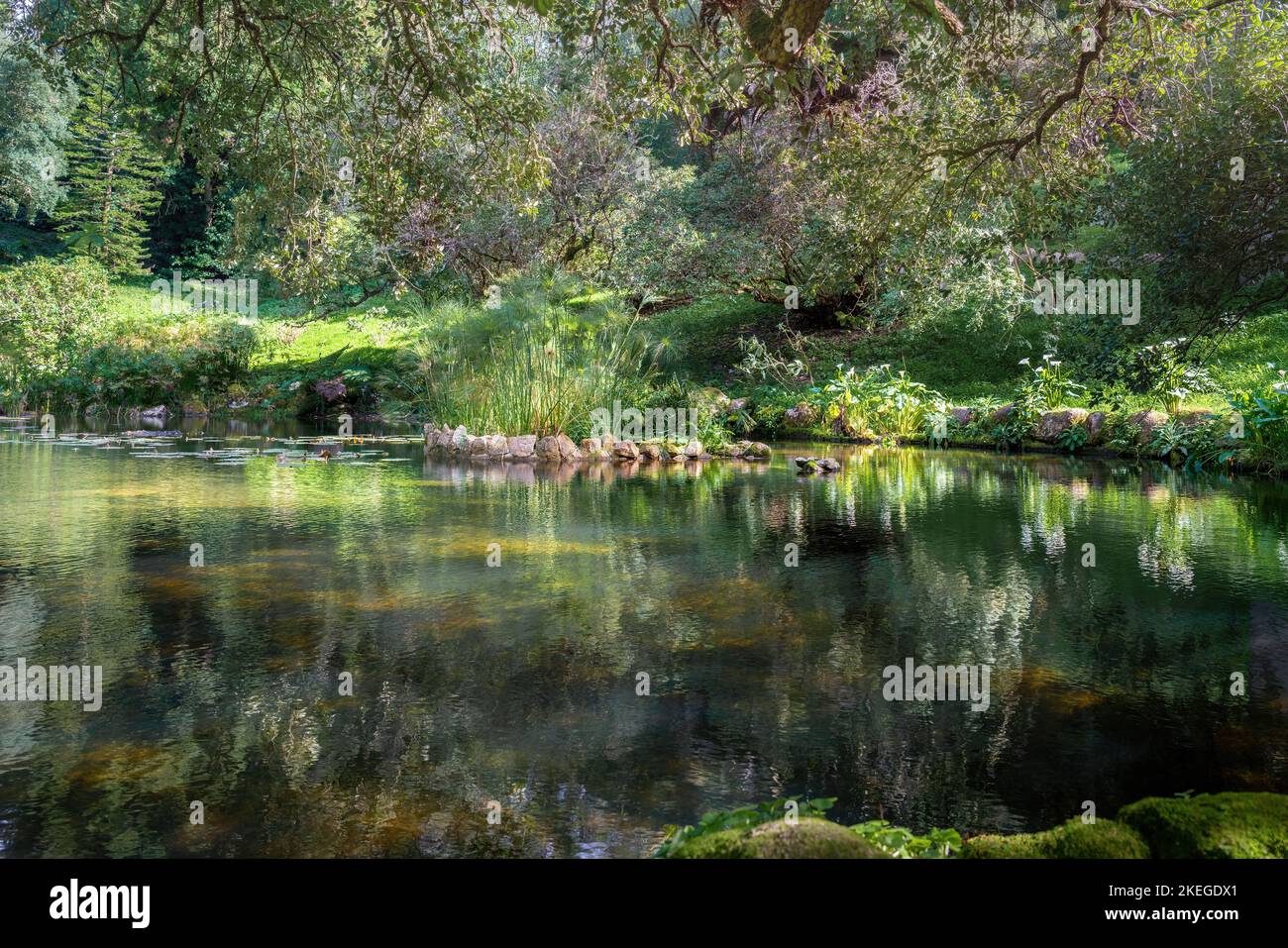 Ziersee im Park und Palast von Monserrate - Sintra, Portugal Stockfoto