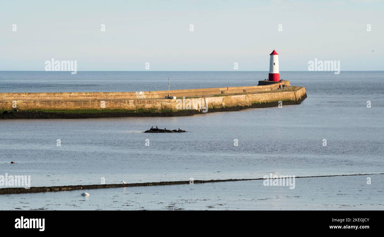 Pier und Leuchtturm in Berwick upon Tweed, Northumberland, England, Großbritannien Stockfoto