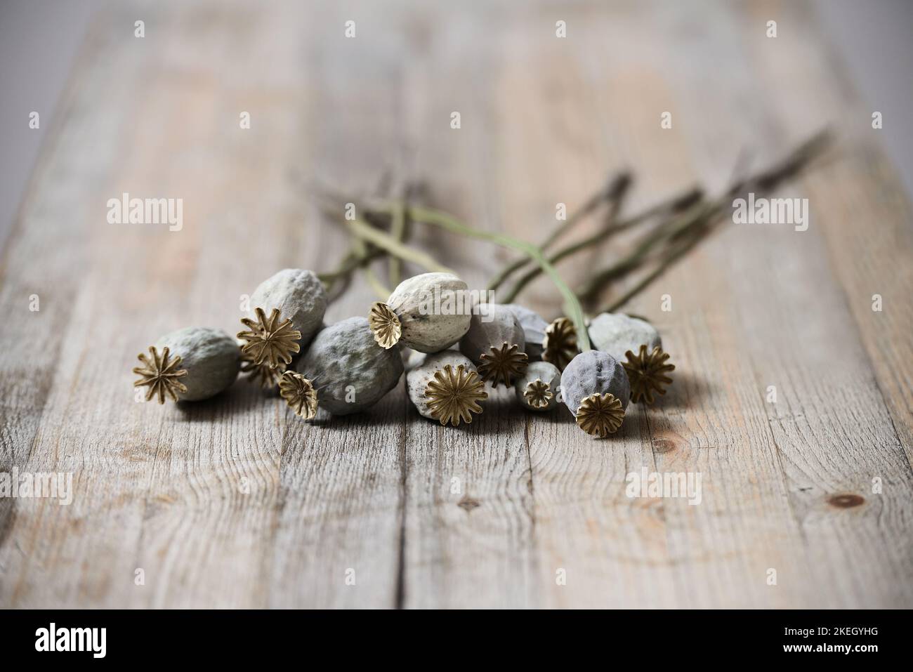 Getrocknete Mohnköpfe auf Holztisch Stockfoto