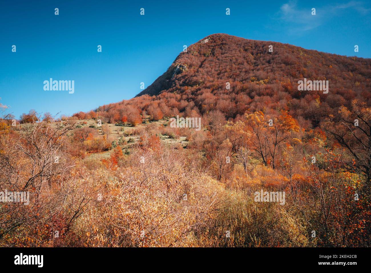 Farbenfrohe Herbstfärbung Parco Nazionale Abruzzen Italien. Landschaft Stockfoto