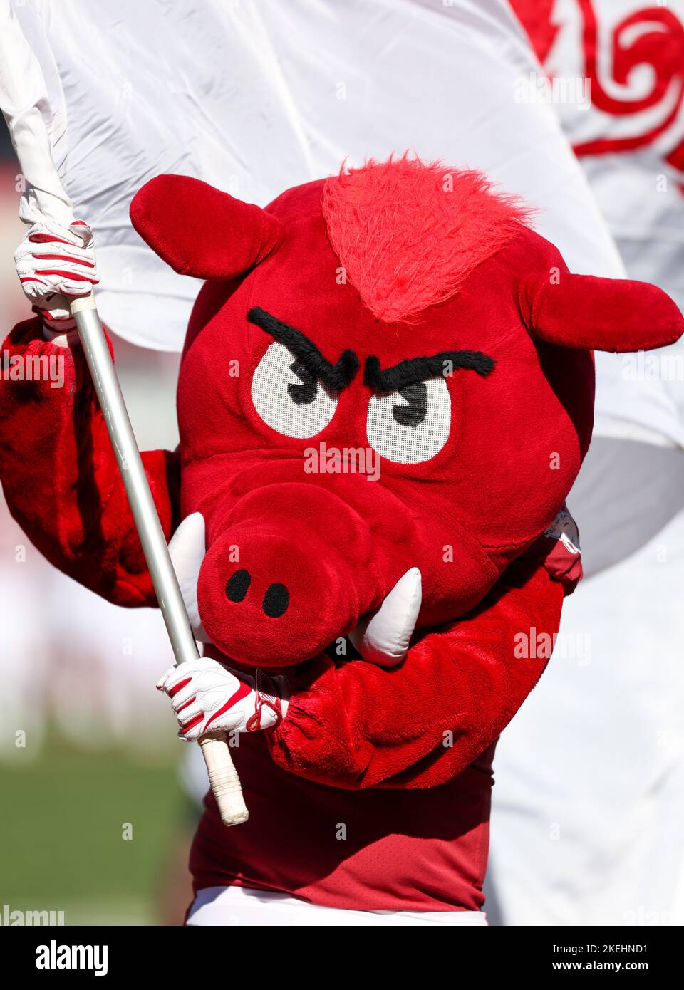 Arkansas razorback flagge -Fotos und -Bildmaterial in hoher Auflösung ...