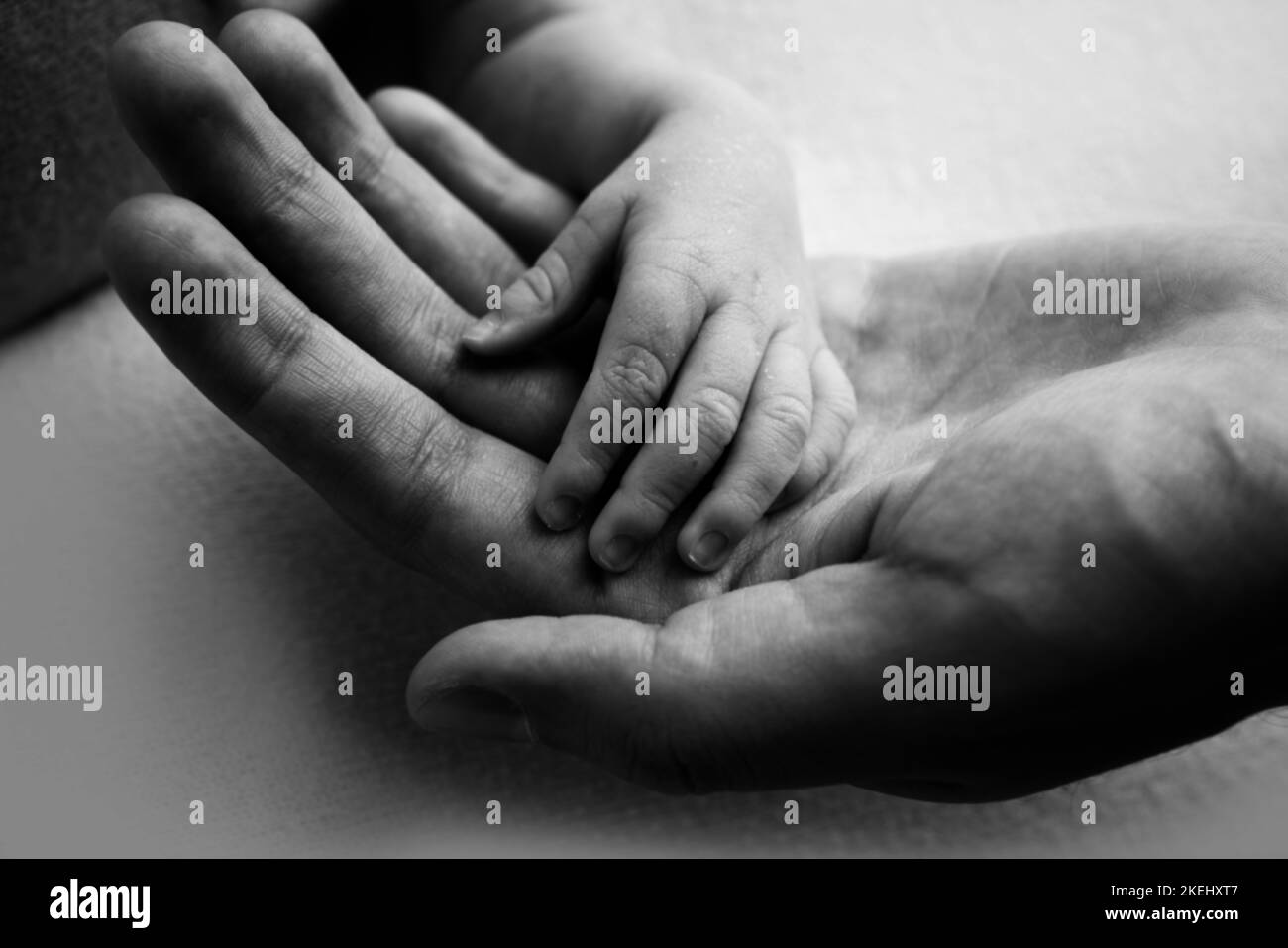 Ein Elternteil hält die Hand eines neugeborenen Kindes. Schwarzweiß-Foto. Stockfoto