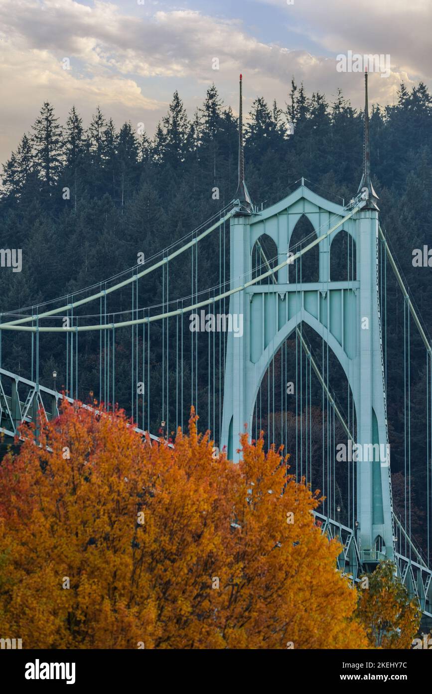 Die Herbstsaison im St. Johns Bridge and Cathedral Park in Portland, Oregon, im pazifischen Nordwesten der USA Stockfoto