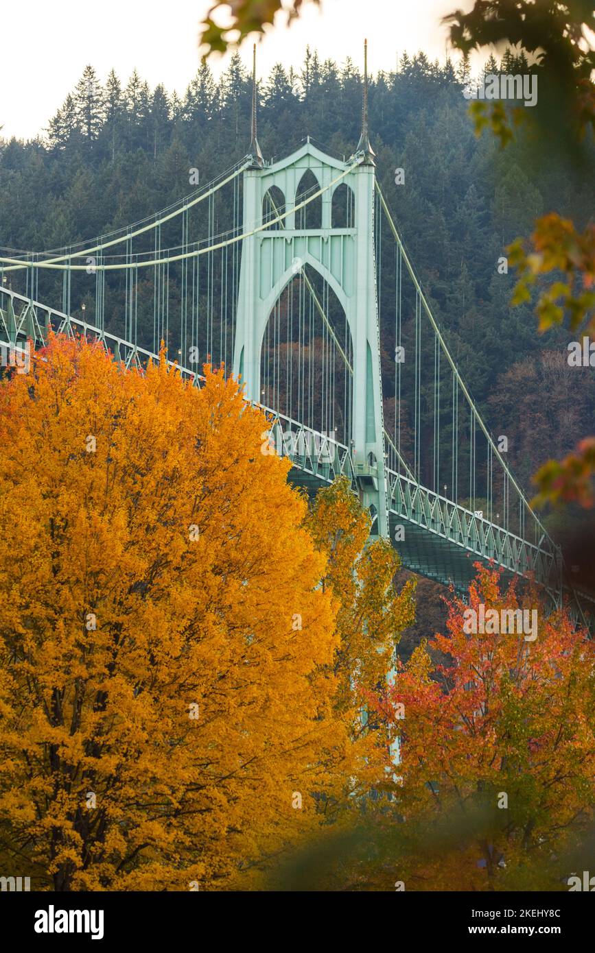 St Johns Bridge umgeben von Herbstbäumen und Herbstlaub im Cathedral Park, Portland, Oregon Stockfoto