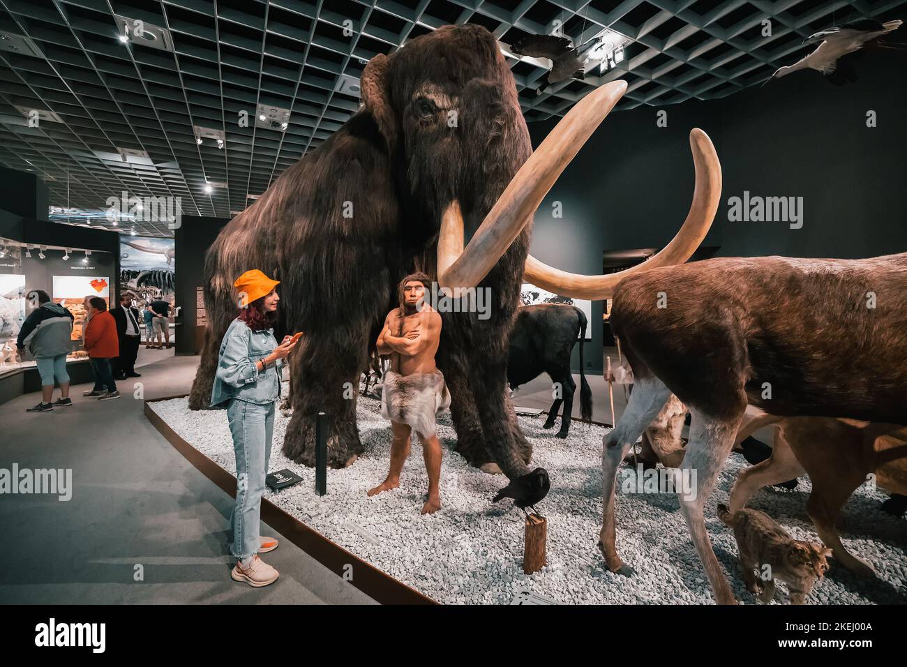 26. Juli 2022, Münster, Deutschland: Besuchermädchen, das ausgestorbene riesige Mammut- und Menschenjäger im Inneren des Naturhistorischen Museums betrachtet Stockfoto