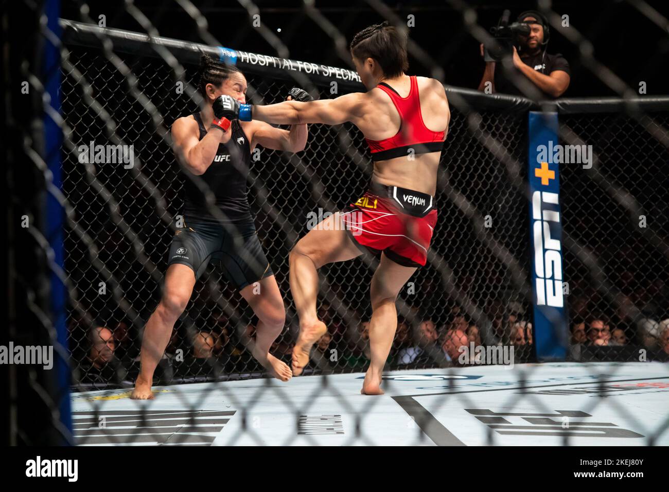 New York, USA. 12.. November 2022. Zhang Weili (R) aus China und Carla Esparza aus den Vereinigten Staaten treten beim Strohgewicht-Titelkampf ihrer Frauen beim UFC 281 im Madison Square Garden in New York, USA, am 12. November 2022 gegeneinander an. Chinas erster UFC-Champion Zhang Weili hat am Samstagabend bei der UFC 281 mit einer zweiten Einreichungsrunde auf Carla Esparza die Meisterin der Strohgewichtsgewichtung der Frauen zurückgewonnen. Quelle: Michael Nagle/Xinhua/Alamy Live News Stockfoto