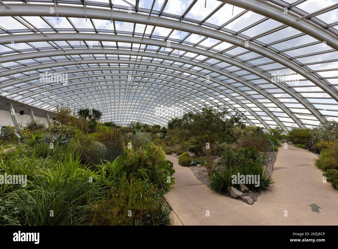 National Botanic Garden of Wales, Pembrokeshire, Wales, Großbritannien Stockfoto