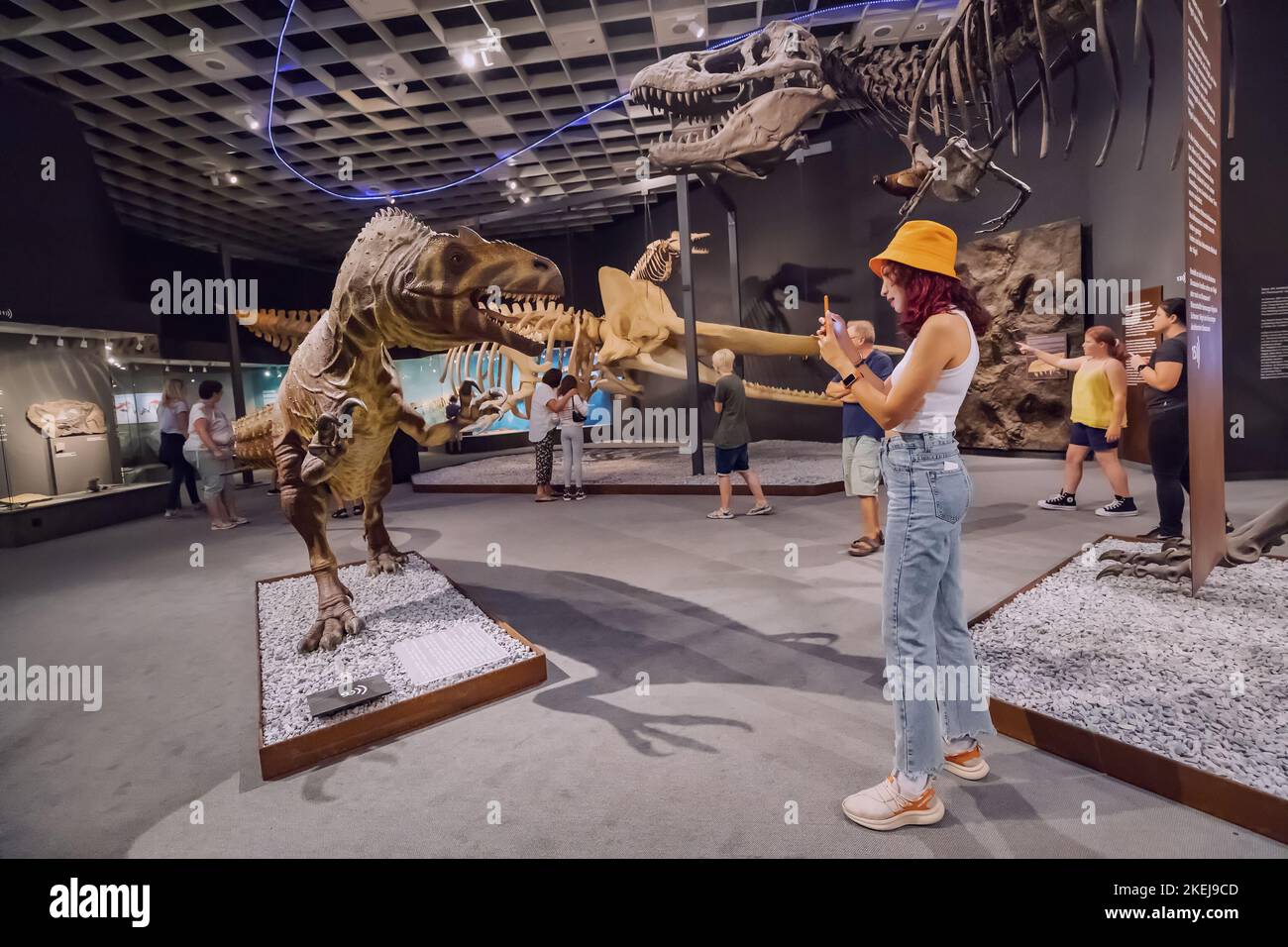 26. Juli 2022, Münster Natural History Museum, Deutschland: Besuchermädchen mit Smartphone-Anwendungsführer bei der Ausstellung des erschreckenden Dinosaurierskeletts Stockfoto