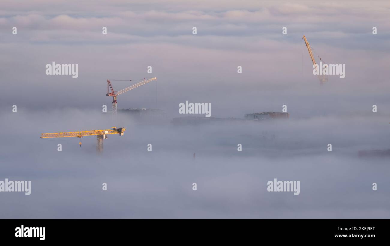 Baukrane im Nebelmeer. Stockfoto