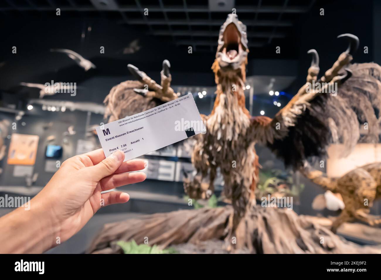 26. Juli 2022, Münster Natural History Museum, Deutschland: Hand mit Eintrittskarte zur Dinosaurierausstellung der LWL Naturkunde Stockfoto