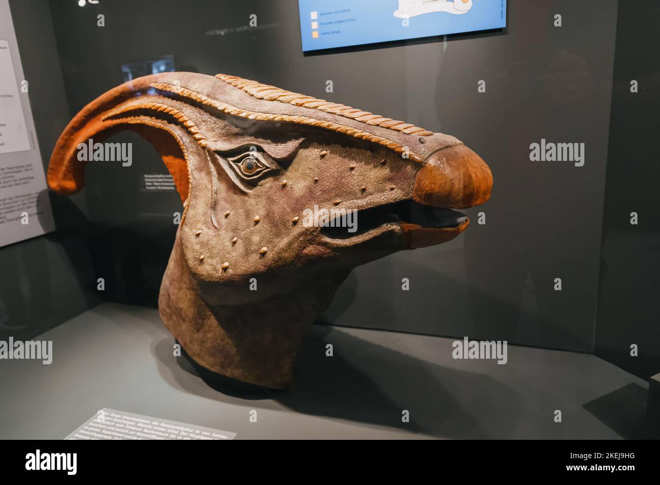 Dinosaurier paläobiologie Fotos und Bildmaterial in hoher Auflösung