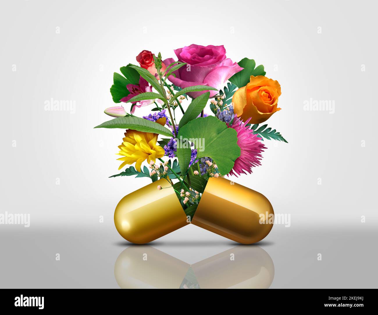 Natürliche Medikamente und alternative Medizin als offene verschreibungspflichtige Pillenkapsel mit Blumen und Pflanzen, die als pflanzliches Wellness-Heilmittel herausfließen Stockfoto