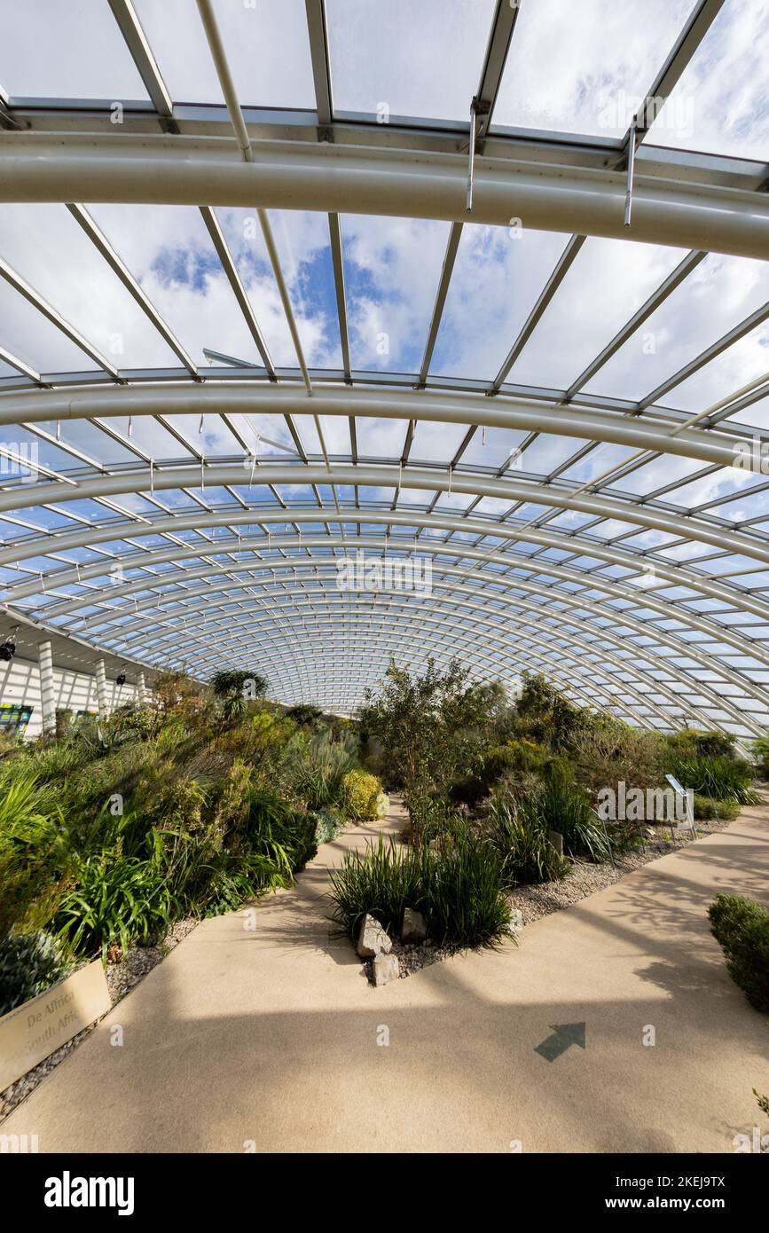 National Botanic Garden of Wales, Pembrokeshire, Wales, Großbritannien Stockfoto