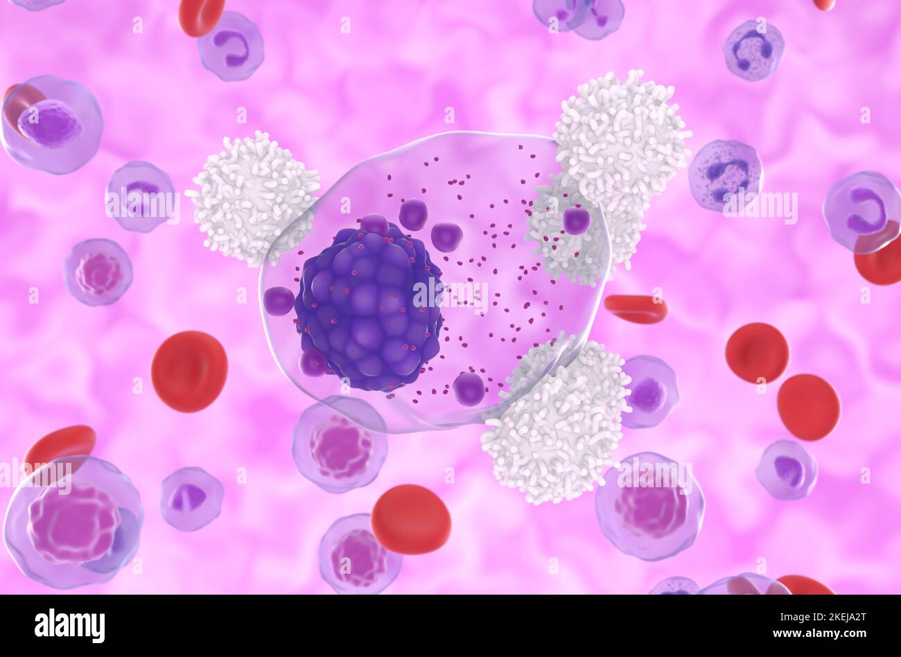 T-Zellen greifen mehrere Myelomzellen im Blutfluss an - Nahaufnahme Ansicht 3D Abbildung Stockfoto