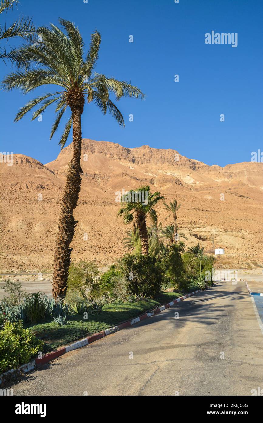 Felsen der Judäischen Wüste in der Nähe des Masada Parks. Die Wüste im Westen Israels. Stockfoto