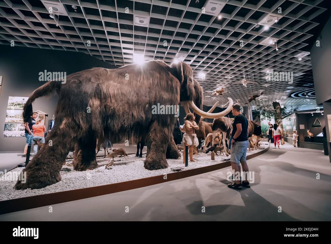 26. Juli 2022, Münster, Deutschland: Besucher, die ausgestorbene riesige Mammut- und Menschenjäger im Inneren des Naturhistorischen Museums betrachten Stockfoto