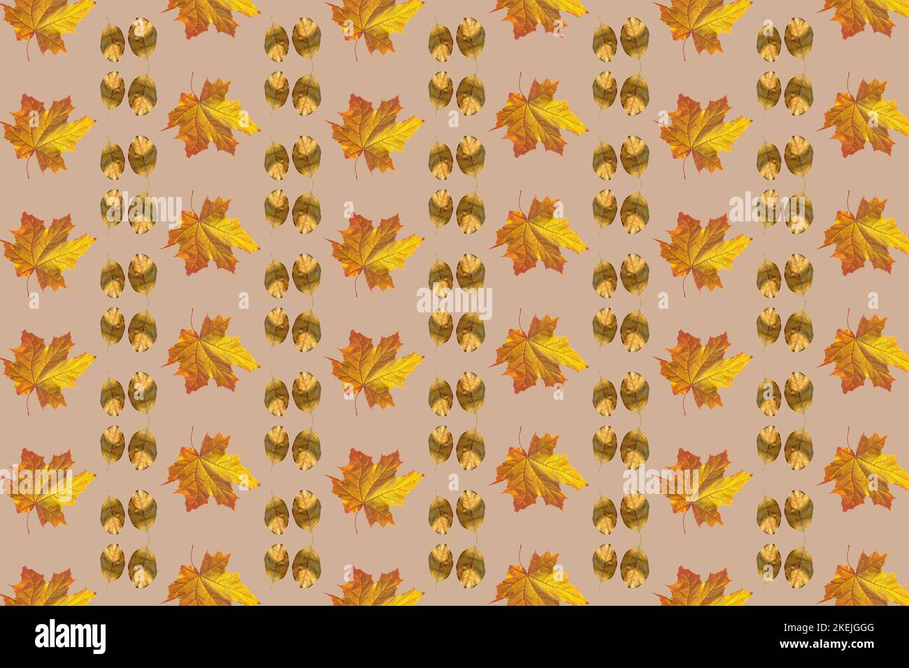 Herbstblätter Hintergrund, natürliches Muster Stockfoto