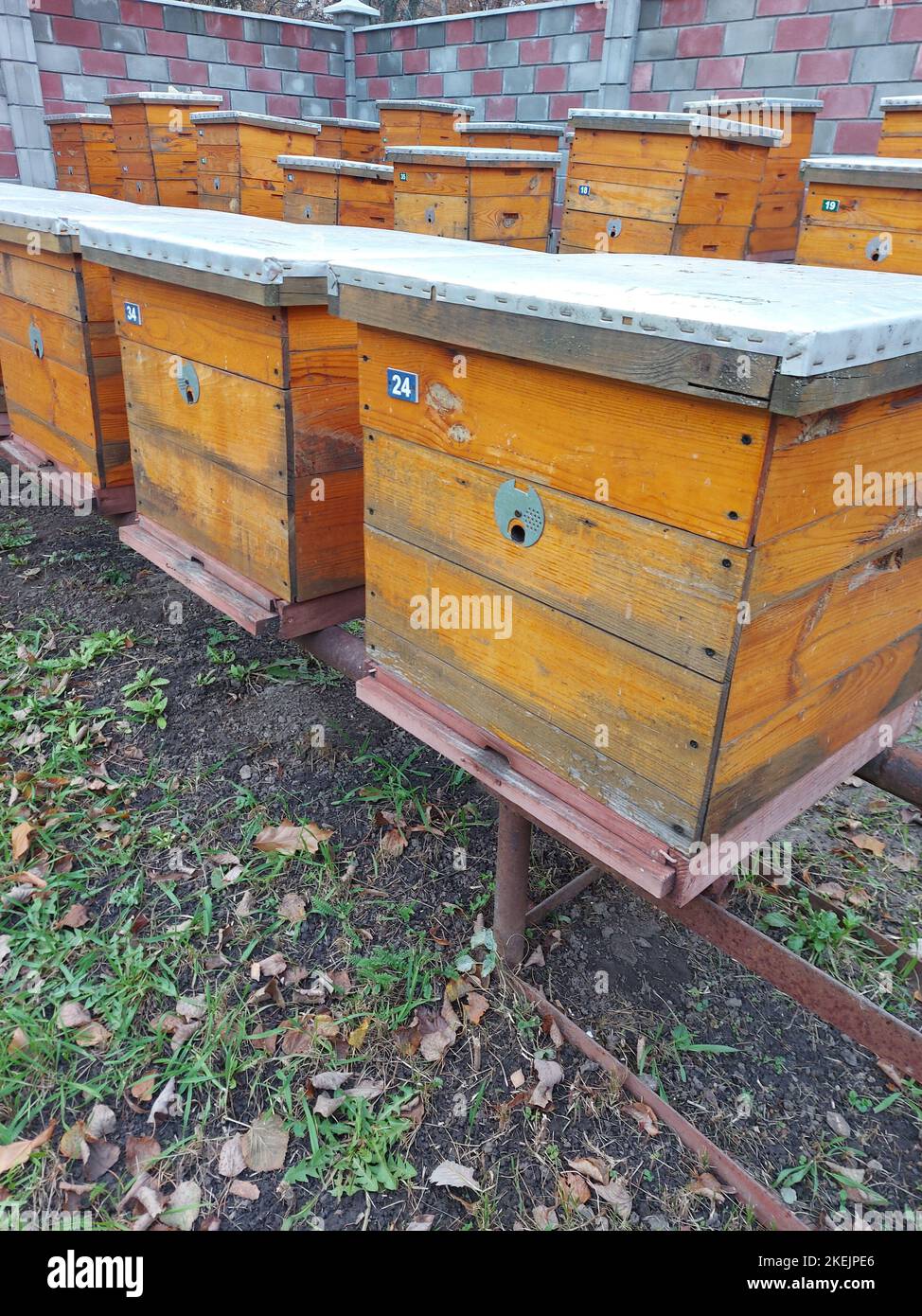 Bienenstöcke für Bienen auf dem Territorium eines Landhauses. Hochwertige Fotos Stockfoto