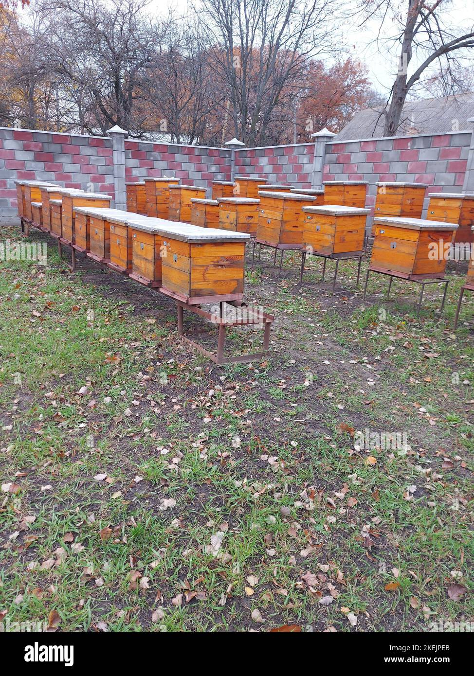 Bienenstöcke für Bienen auf dem Territorium eines Landhauses. Hochwertige Fotos Stockfoto