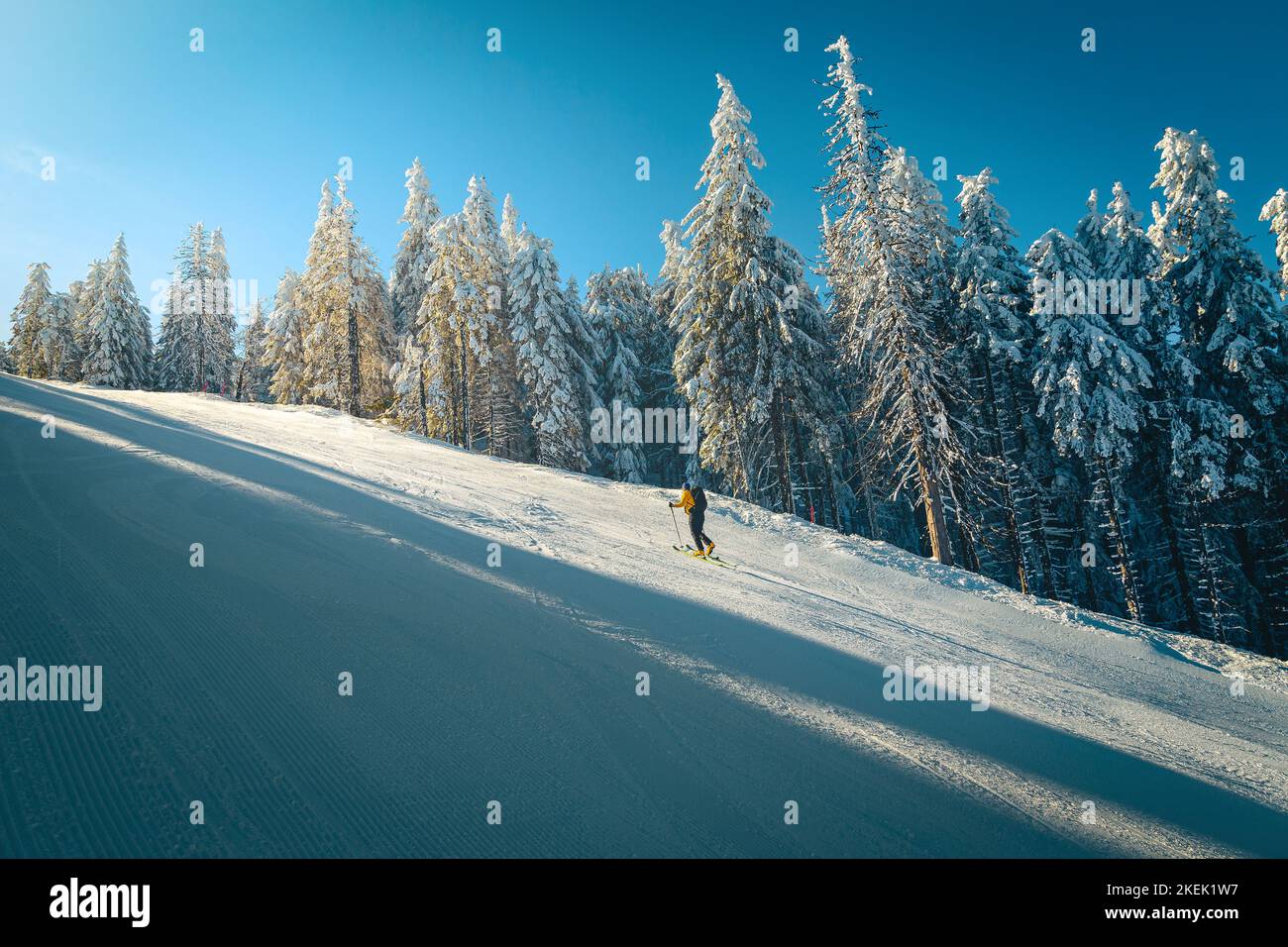 Skilanglauf auf der verschneiten Piste. Skifahrer mit Rucksack, Skitouren auf der verschneiten Schanze, Karpaten, Siebenbürgen, Rumänien, Europa Stockfoto