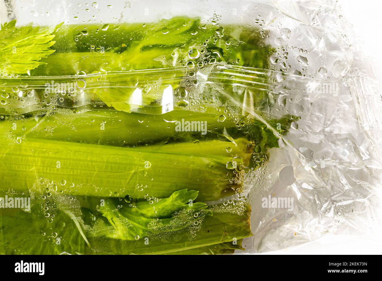 Sellerie in Plastikverpackung, die mit Feuchtigkeit bedeckt ist.ist Plastik der beste Weg, Gemüse frisch zu halten? Stockfoto
