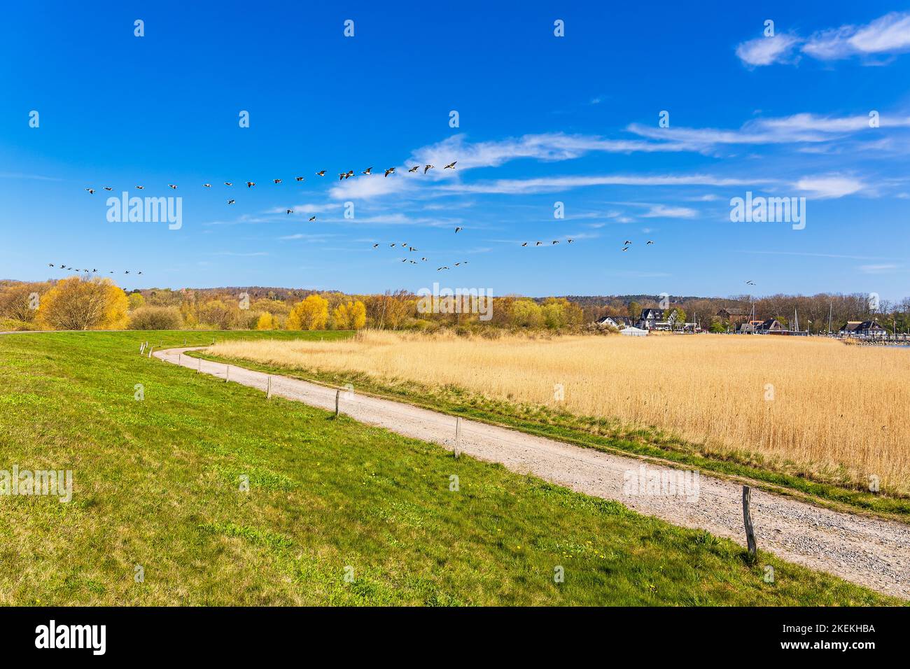 Landschaft bei Kloster auf der Insel Hiddensee, Deutschland. Stockfoto