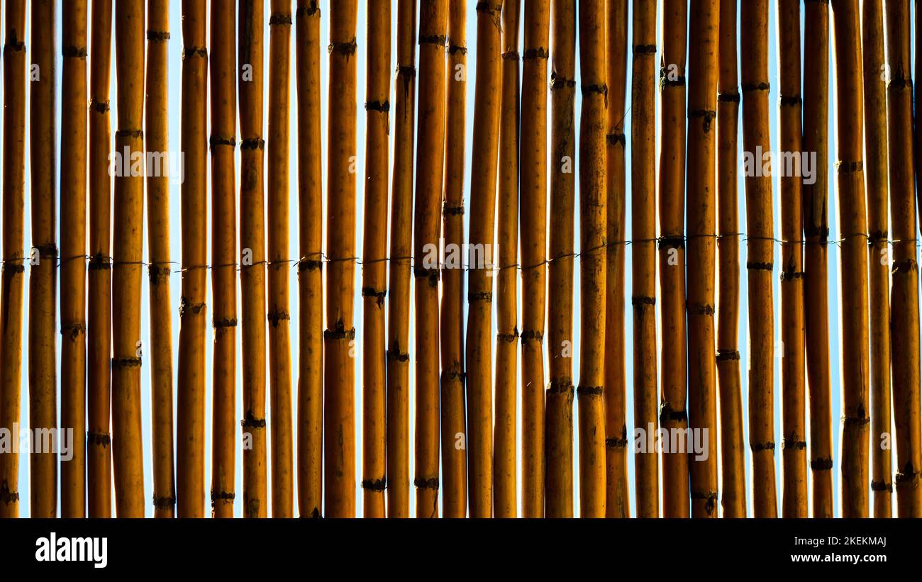 Hintergrund Der Bamboo Sticks Dach Durch Die Himmel Und Sonnenlicht Sehen Kann. Stockfoto
