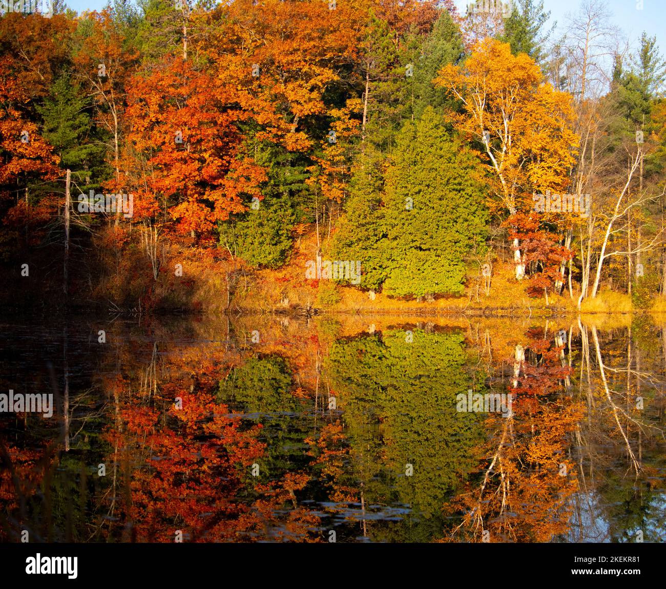 Brillante Spiegelung der glühenden roten, gelben, orangen und grünen Herbstfarben im oberen Michigan, die sich im stillen Teichwasser spiegeln. Stockfoto