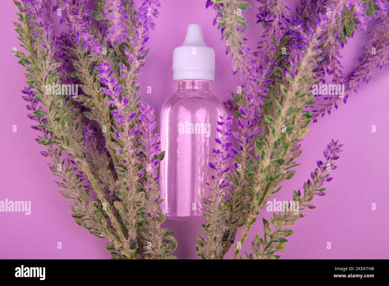 Flüssiger Lavendelextrakt in transparenter Flasche liegt mit Lavendelblüten auf violettem Hintergrund. Draufsicht Stockfoto