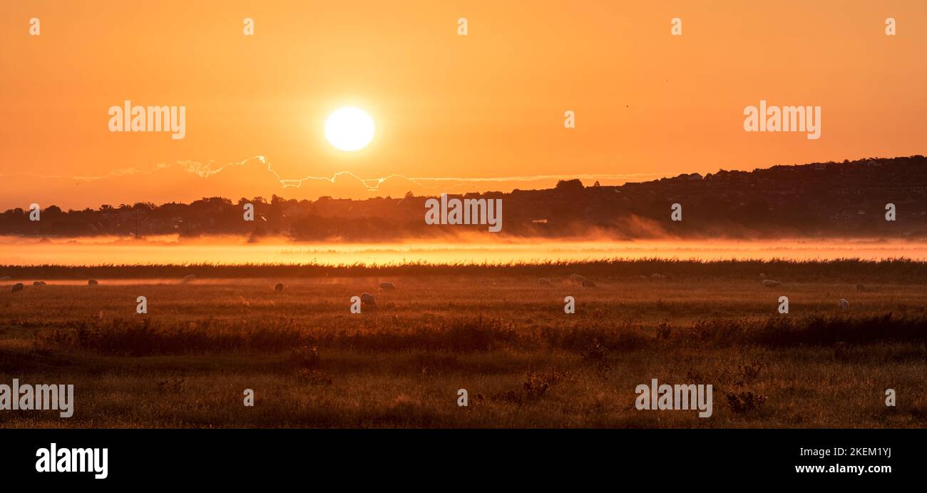 Panoramablick bei Sonnenaufgang auf den Graveney Marshes in der Nähe von Whitstable, Kent Stockfoto
