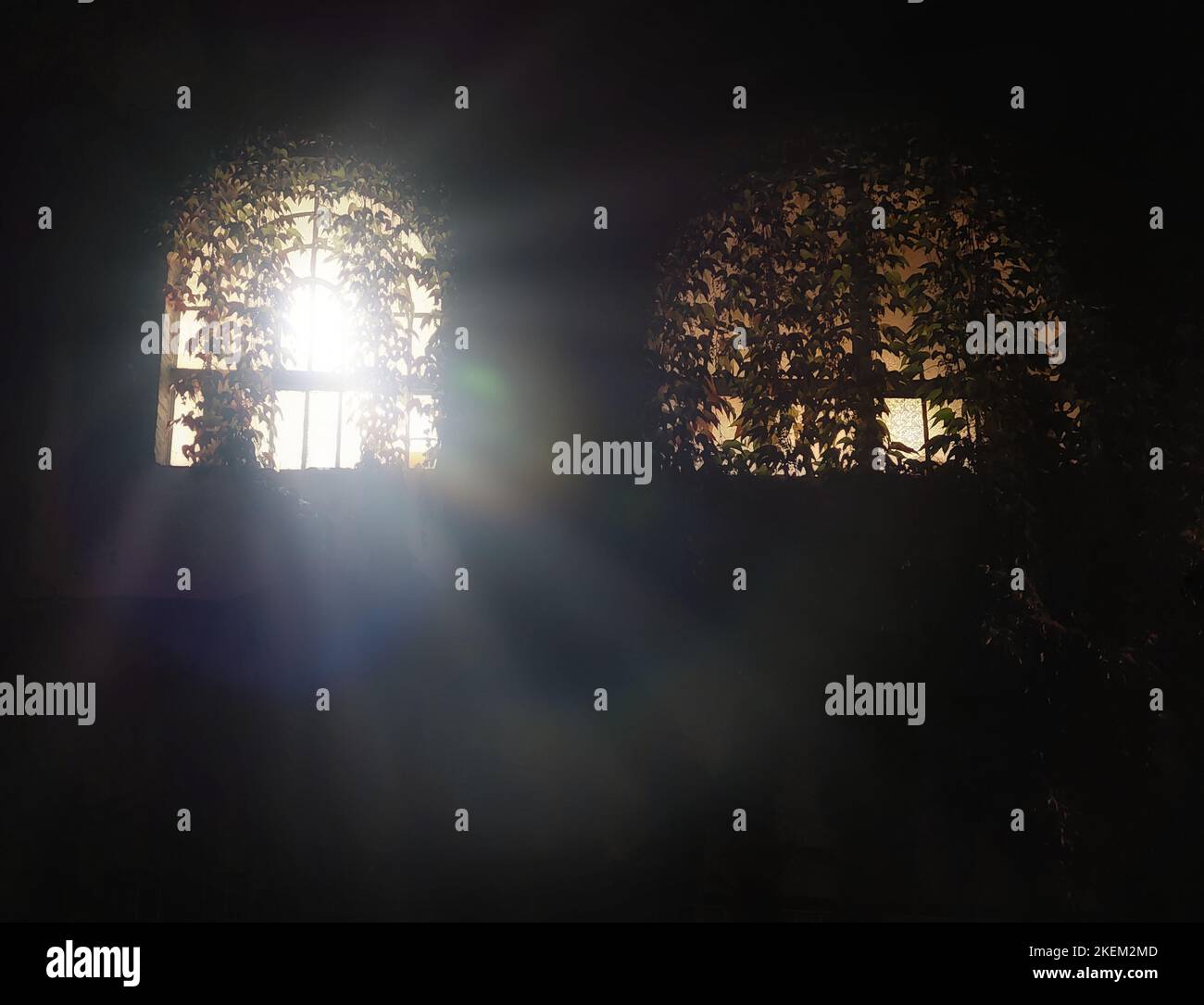 Das Abendlicht filtert durch das efeubedeckte Fenster. Stockfoto