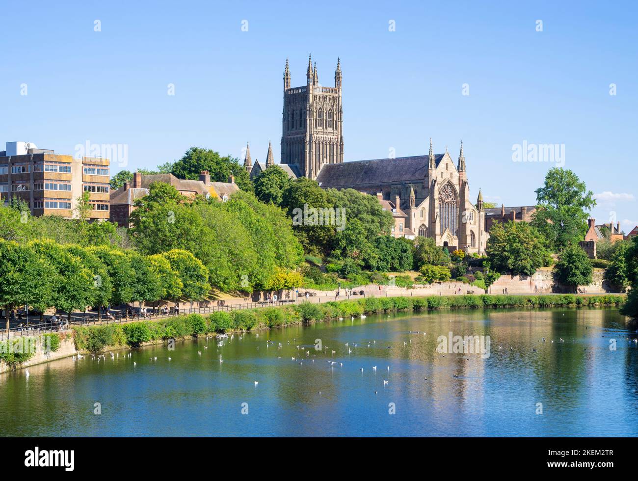 Worcester Cathedral River Severn Worcester Cathedral Worcester Worcestershire England GB Europa Stockfoto