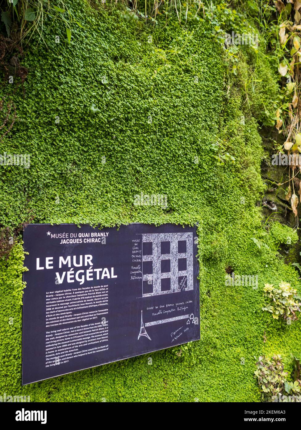 Green Living Wall, Musée du quai Branly - Jacques Chirac, Paris, Frankreich, Europa. Stockfoto