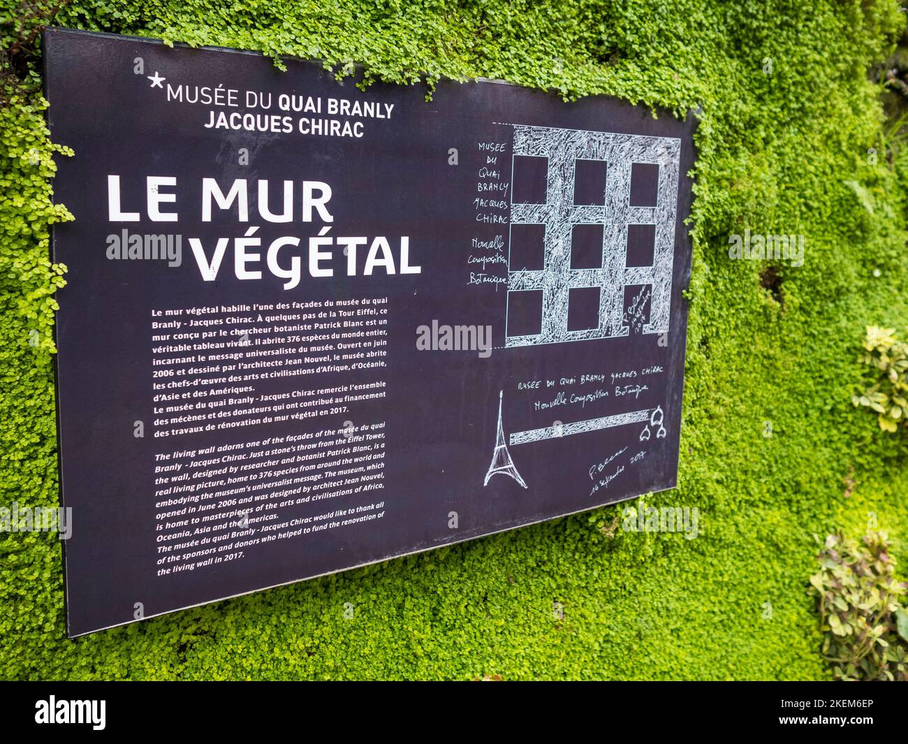 Green Living Wall, Musée du quai Branly - Jacques Chirac, Paris, Frankreich, Europa. Stockfoto