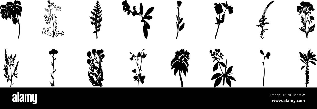 Ein großer Satz von Blumen und Pflanzen. Sammlung von Pflanzen, Blumen und Kräutern. Schwarze Silhouetten von Pflanzen. Botanische Muster. Stock Vektor