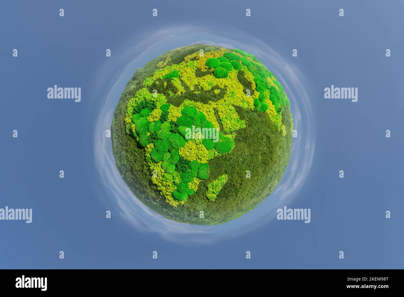 Grüner Planet Erde aus natürlichem Moos. Symbol für nachhaltige Entwicklung und erneuerbare Energien Stockfoto