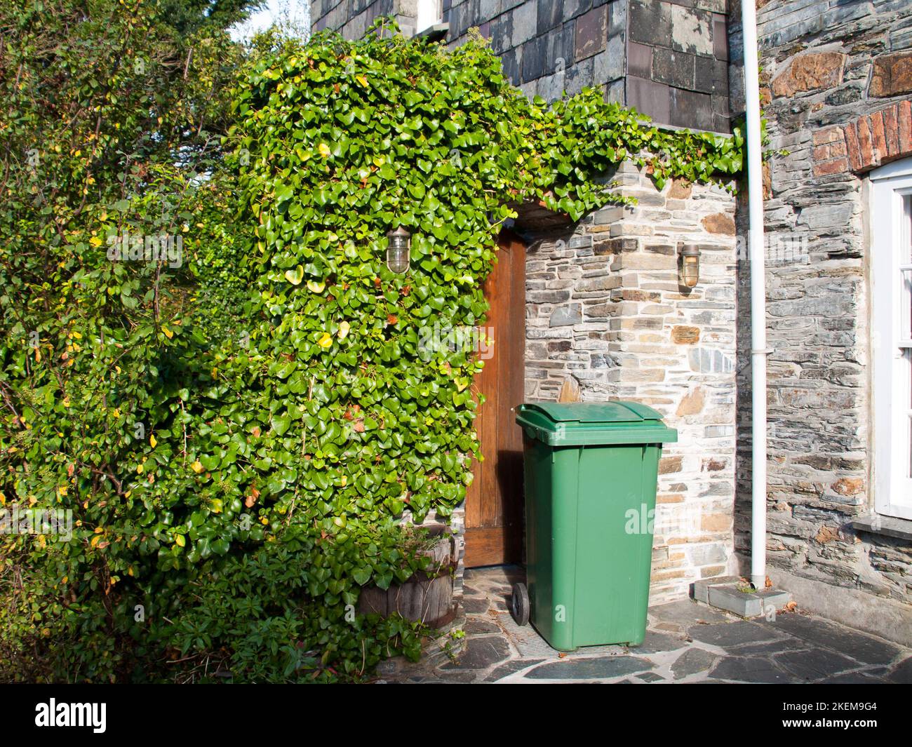 Grüne Mülltonne vor einem Haus Eingang irgendwo in Port Isaac in North Cornwall Stockfoto