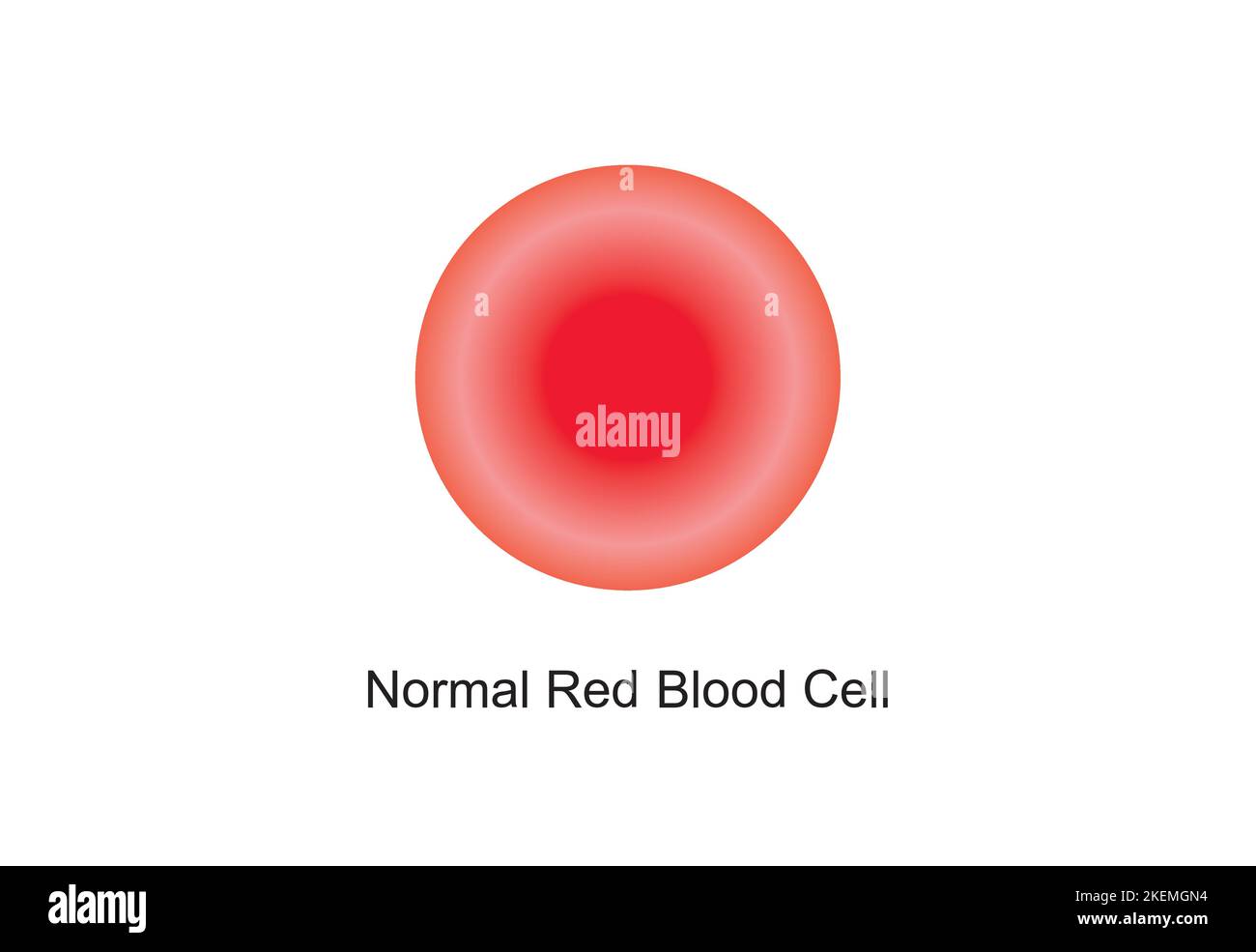 Wissenschaftliche Entwicklung einer normalen roten Blutkörperchen. Bunte Symbole. Vektorgrafik. Stock Vektor