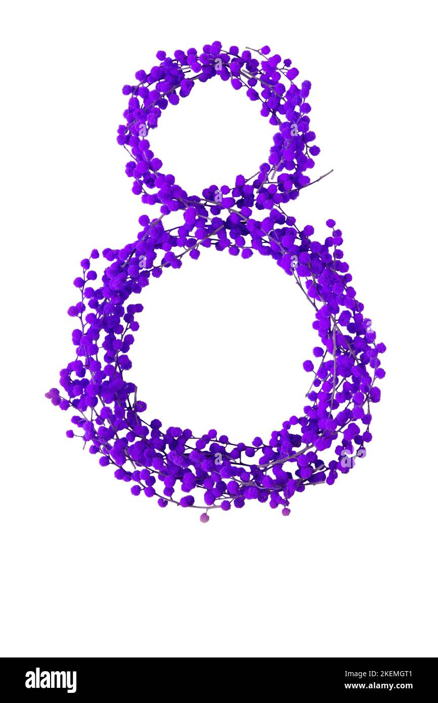 Gleichberechtigung der Geschlechter und IWD-Symbol. Lila Ziffer Acht aus Mimosen Frühlingsblumen Äste isoliert auf weiß Stockfoto