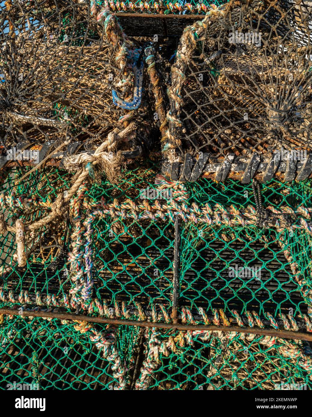 Hummertöpfe trocknen im Hafen von West Bay, Dorset, England Stockfoto