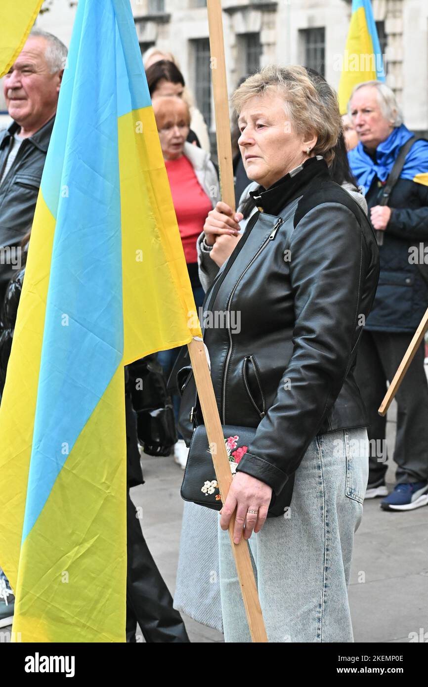 Downing Street, London, Großbritannien. 13.. November 2022. Der Krieg in der Ukraine ist noch nicht vorbei, die Demonstranten fordern mehr Waffen. Das Versprechen von Waffen für die Ukraine. Quelle: Siehe Li/Picture Capital/Alamy Live News Stockfoto
