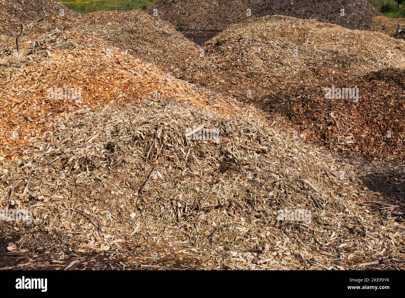 Mulchhaufen aus Holzspänen, Blättern und Zweigen. Stockfoto