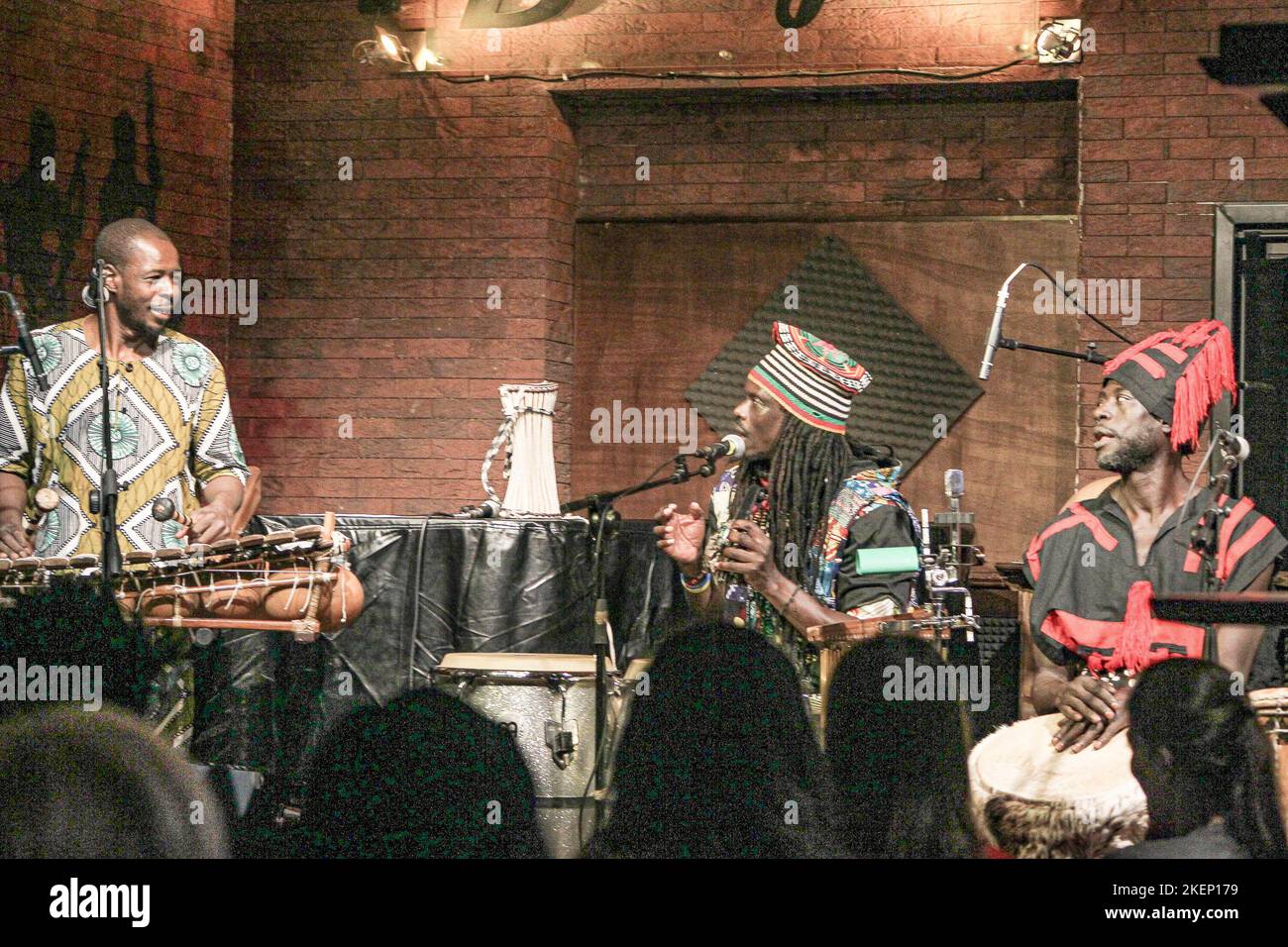 Rom, Italien. 13.. November 2022. Ismaila Mbaye & Tribal Percussion im Boogie Club Jazz Live. Sie begleitete sie und tanzte senegalesische Volkstänze zur Tänzerin Elisa. (Foto von Daniela Franceschelli/Pacific Press) Quelle: Pacific Press Media Production Corp./Alamy Live News Stockfoto